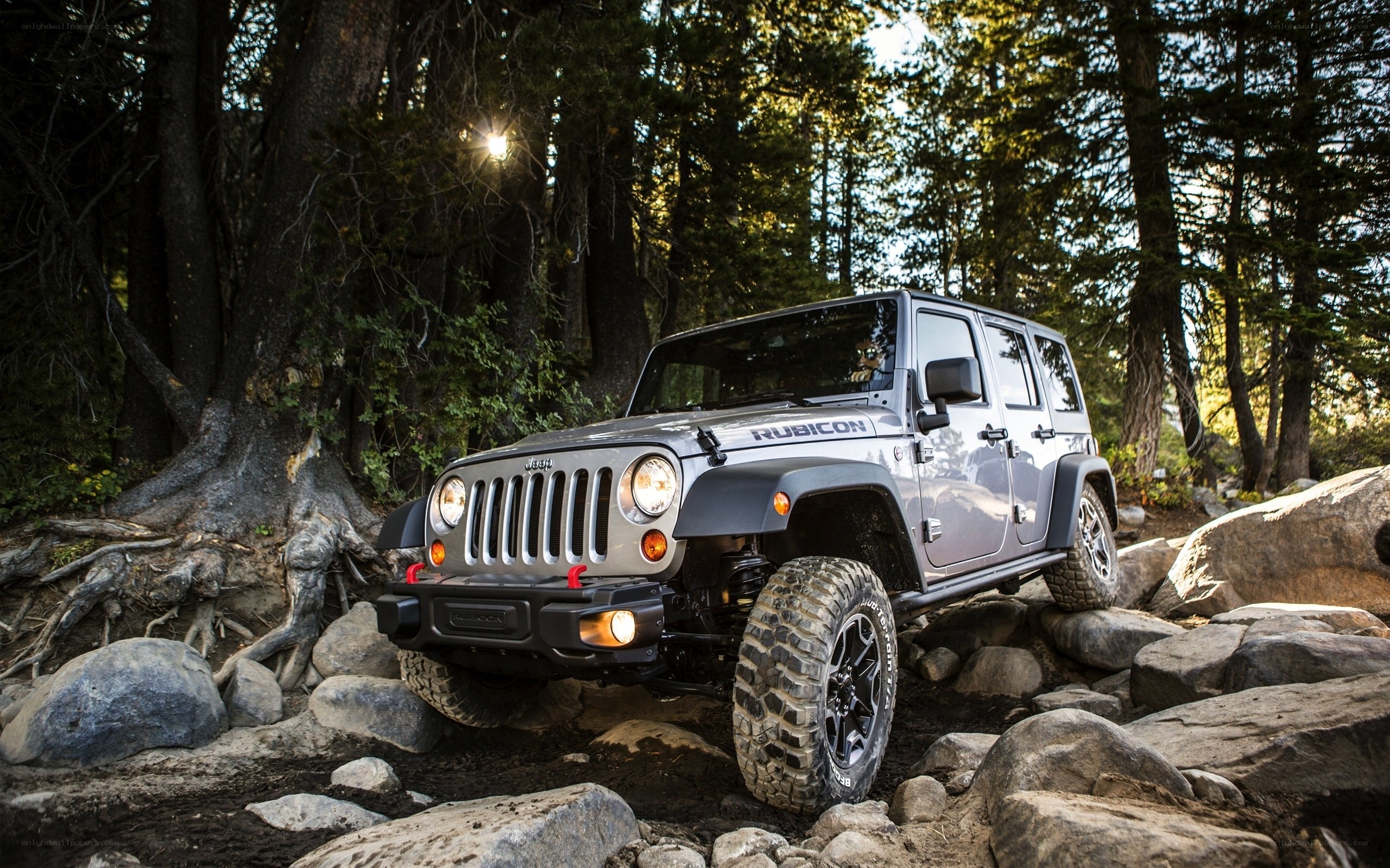 Jeep Rubicon off-roading