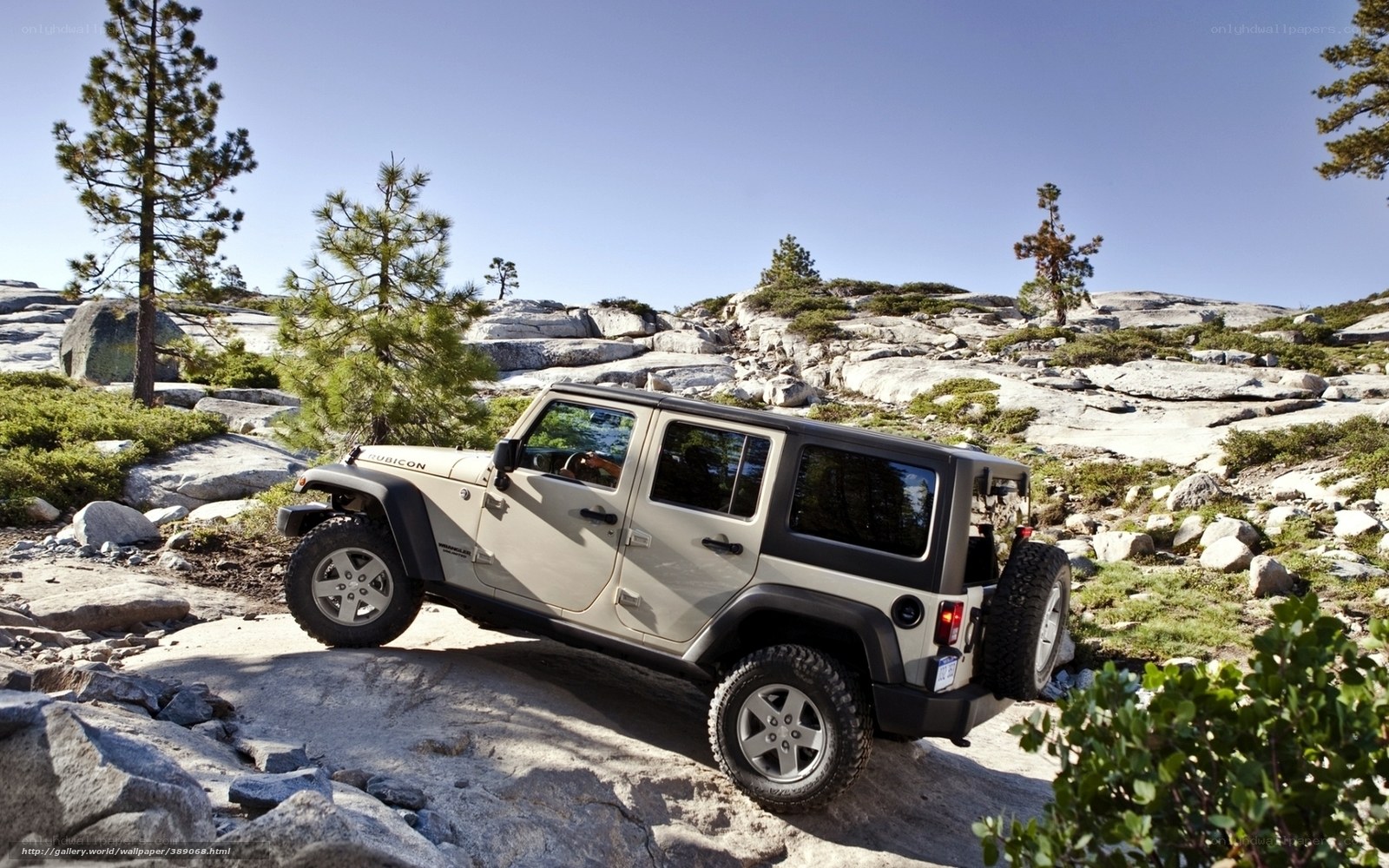 Jeep Rubicon off-roading