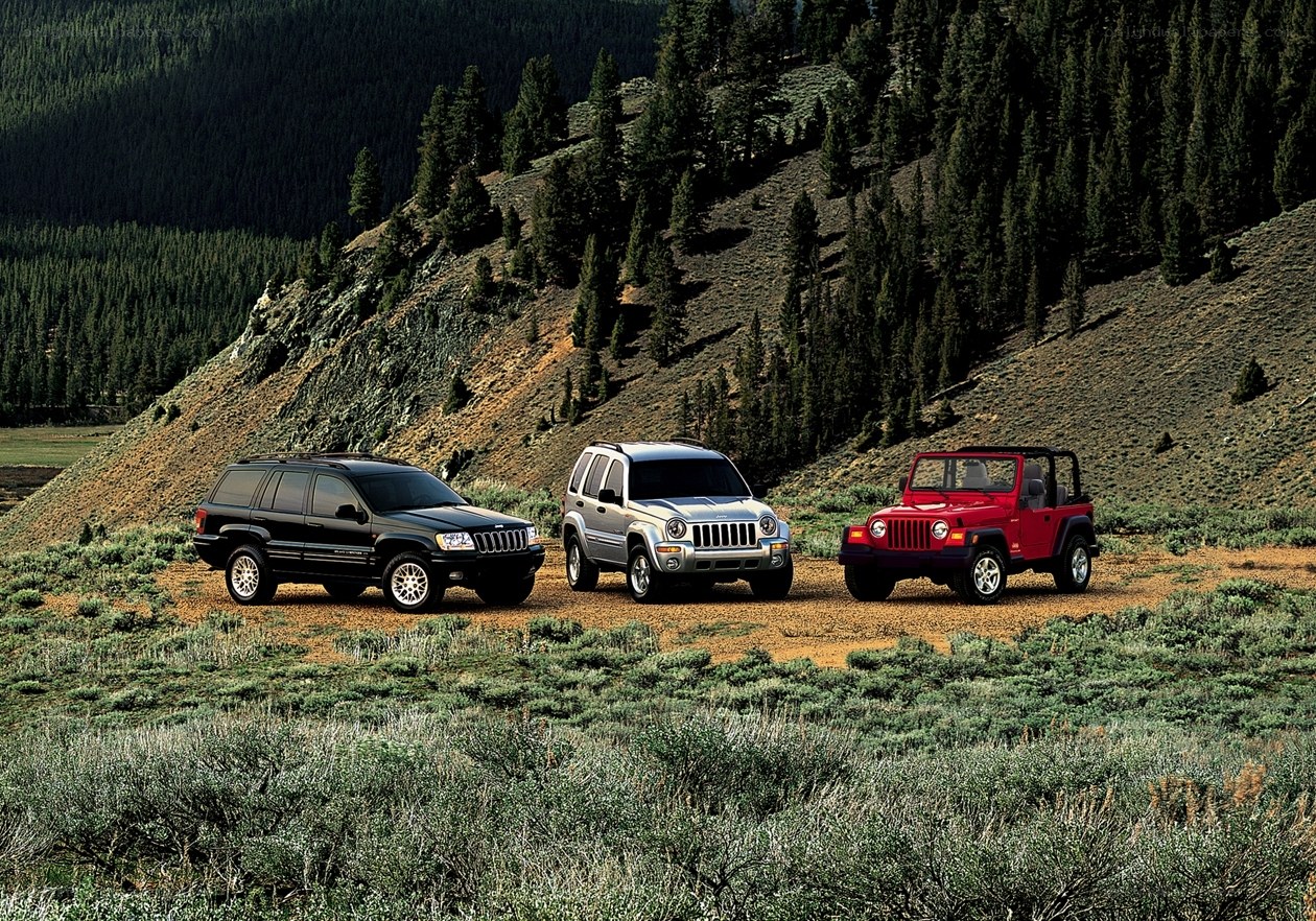 Jeep vehicles in mountain landscape