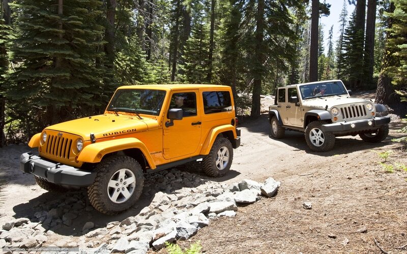 Jeeps on a forest trail