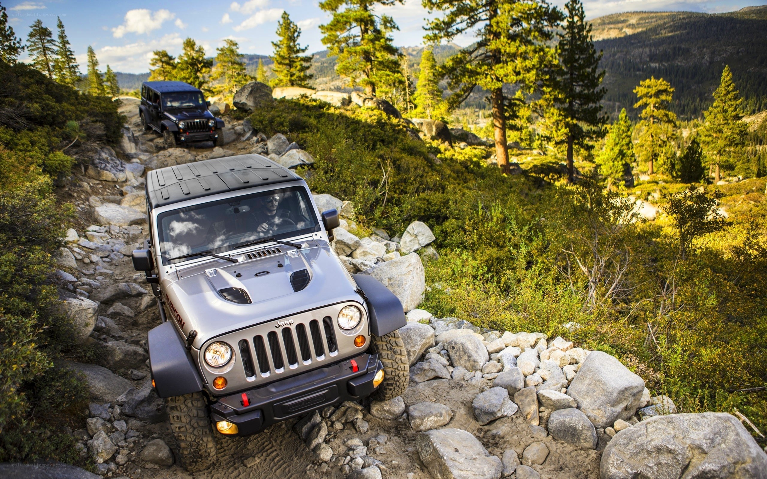 Jeeps on a rocky trail