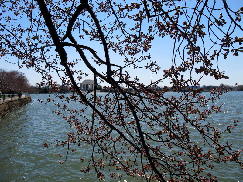 Jefferson Memorial — Blue, Serene