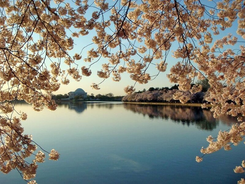 Jefferson Memorial — Blue