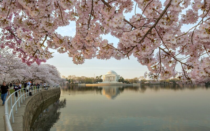 Jefferson Memorial — Pink, Serene