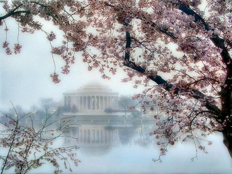 Jefferson Memorial — Pink