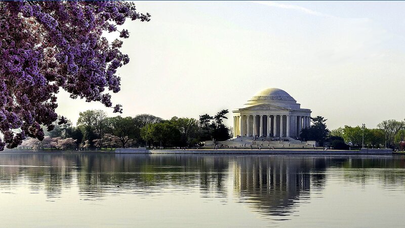 Jefferson Memorial — Purple, Serene