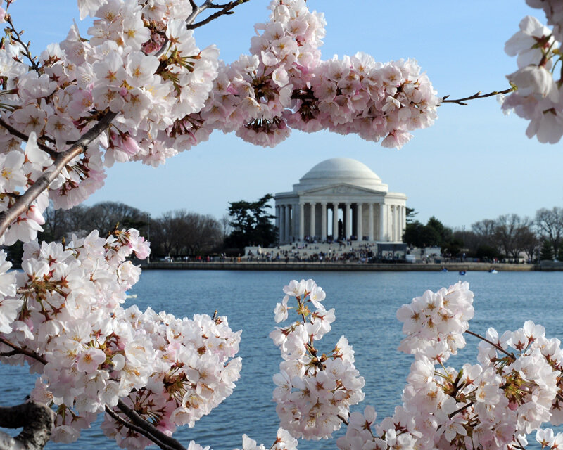 Jefferson Memorial