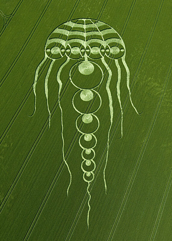 Jellyfish crop circle