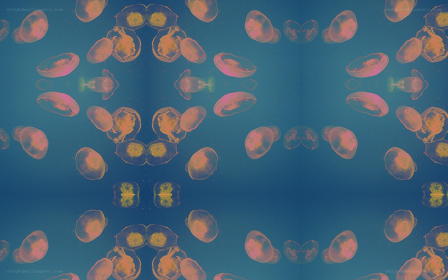 jellyfish in blue water
