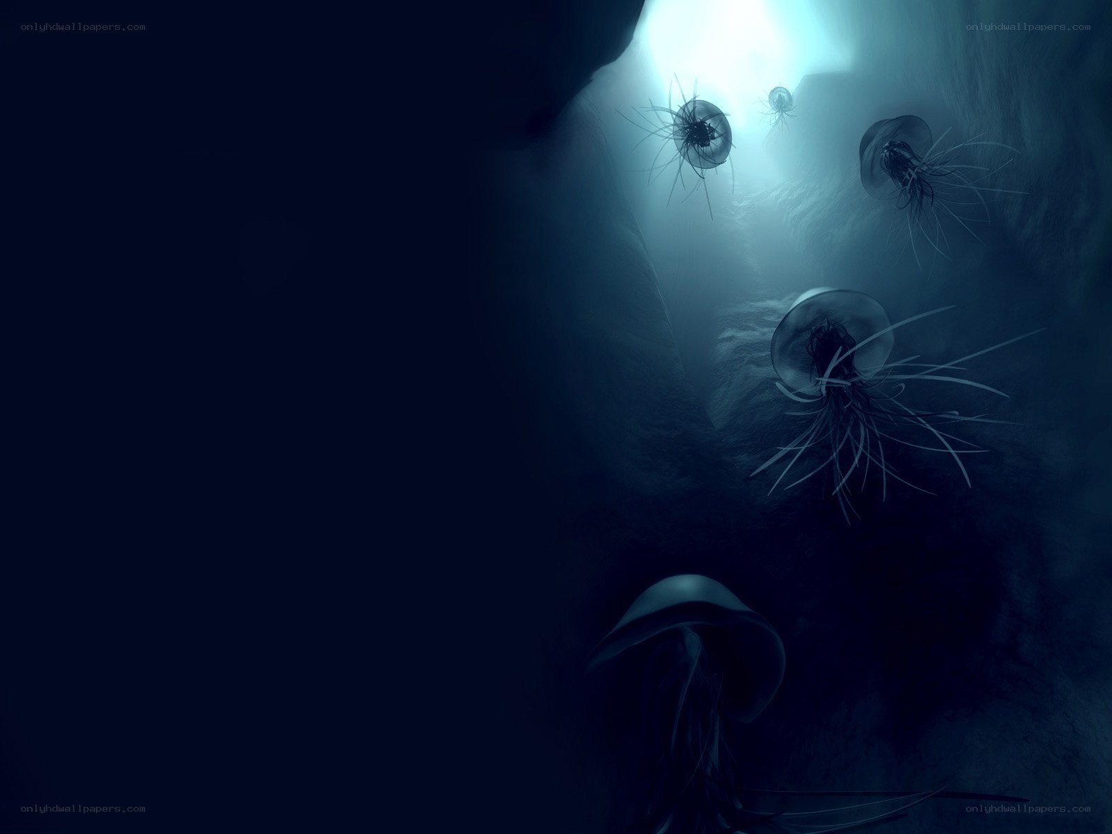 jellyfish in dark cave