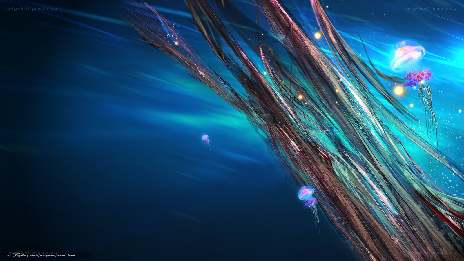 Jellyfish in deep blue sea