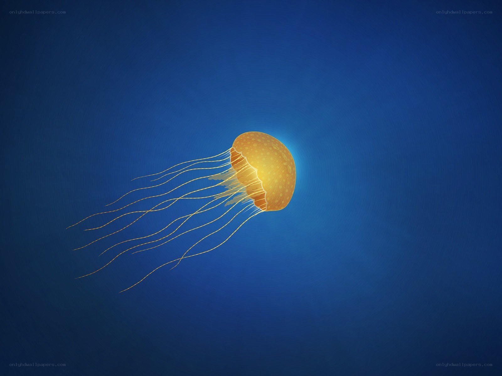 Jellyfish in deep blue water