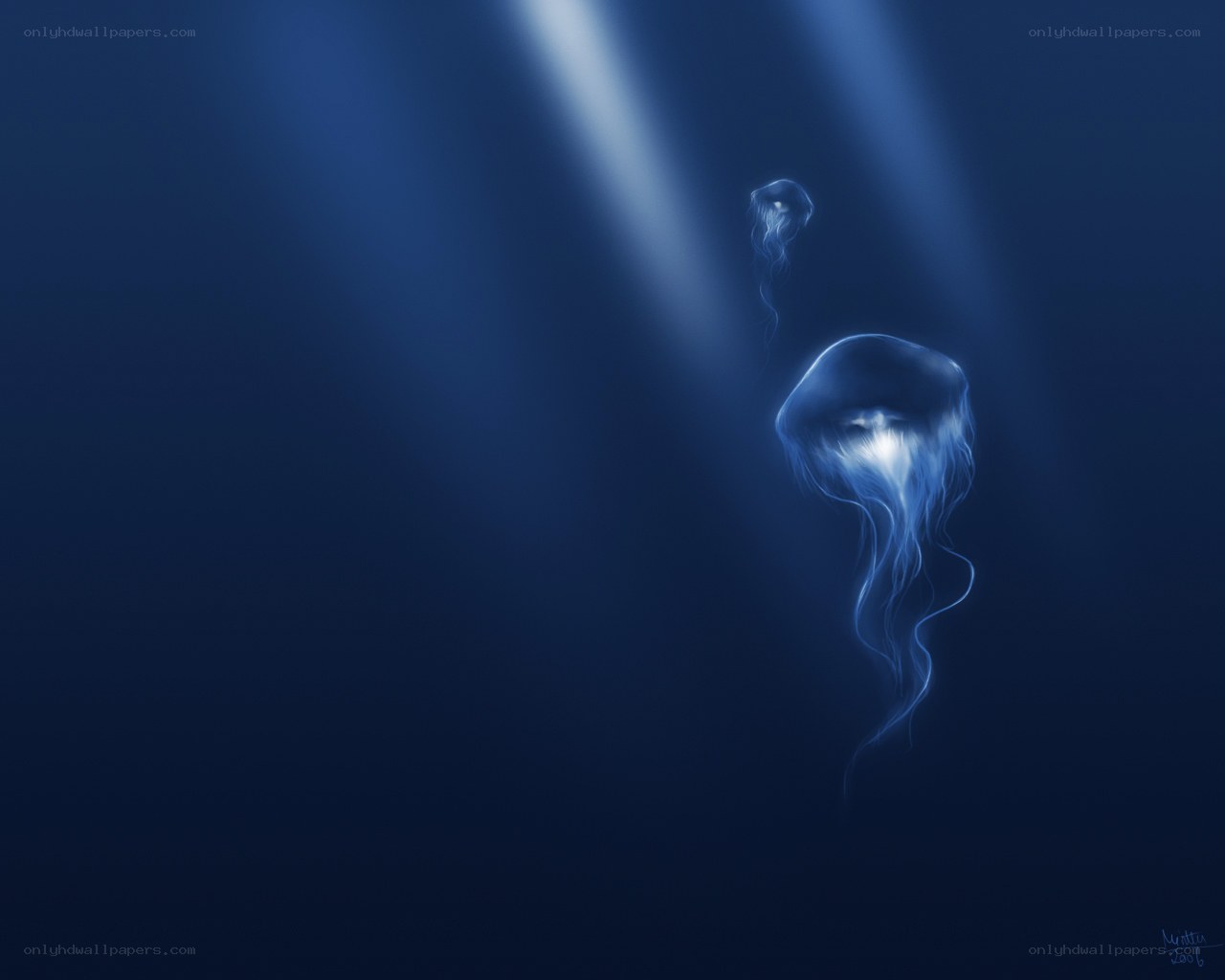 Jellyfish in deep blue water