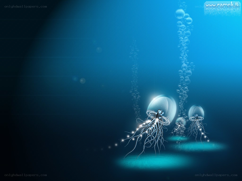 Jellyfish in deep blue water