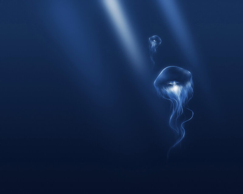Jellyfish in deep blue water