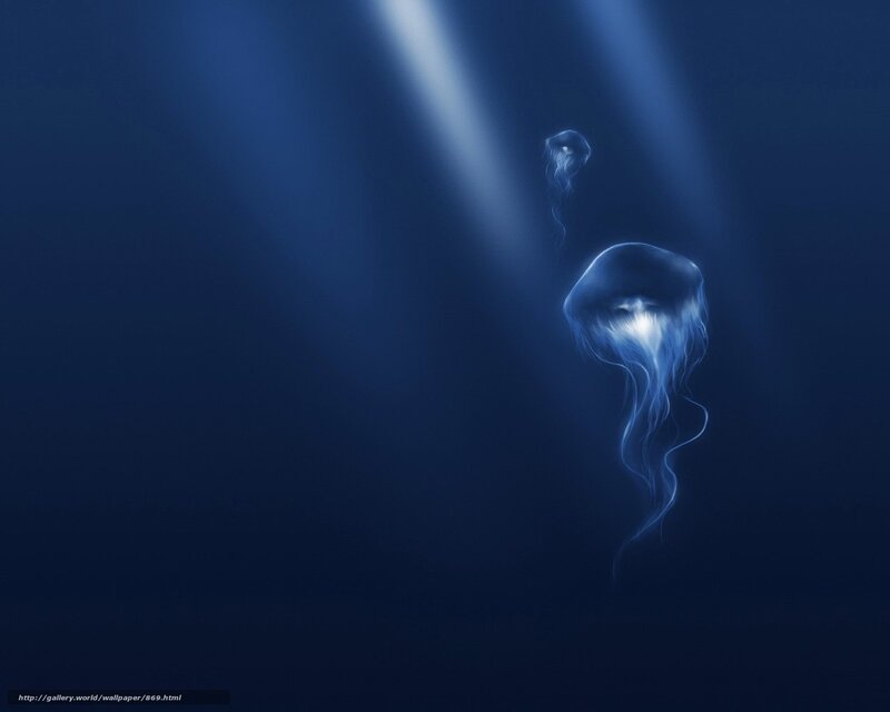 Jellyfish in deep blue water