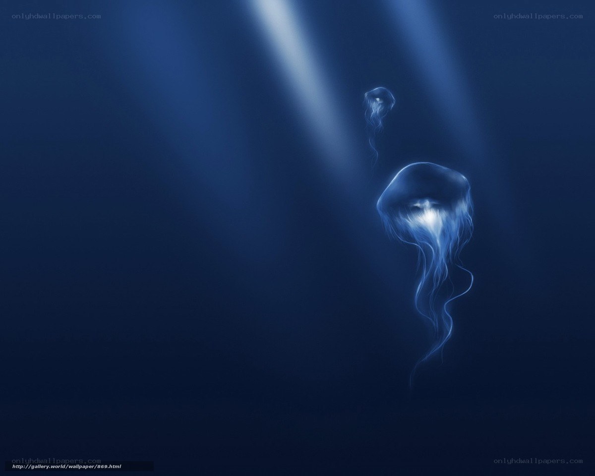 Jellyfish in deep blue water