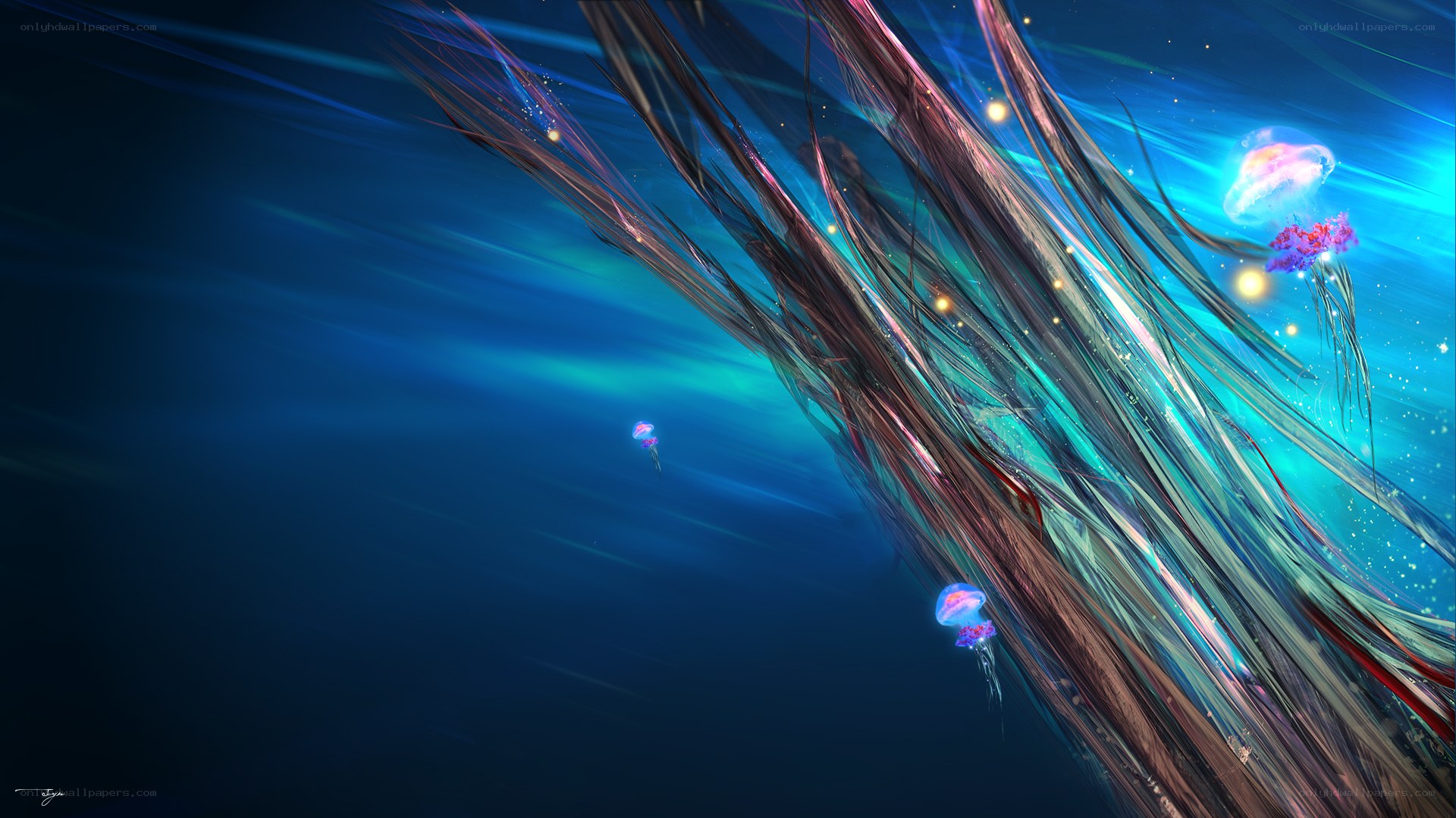 Jellyfish in deep sea