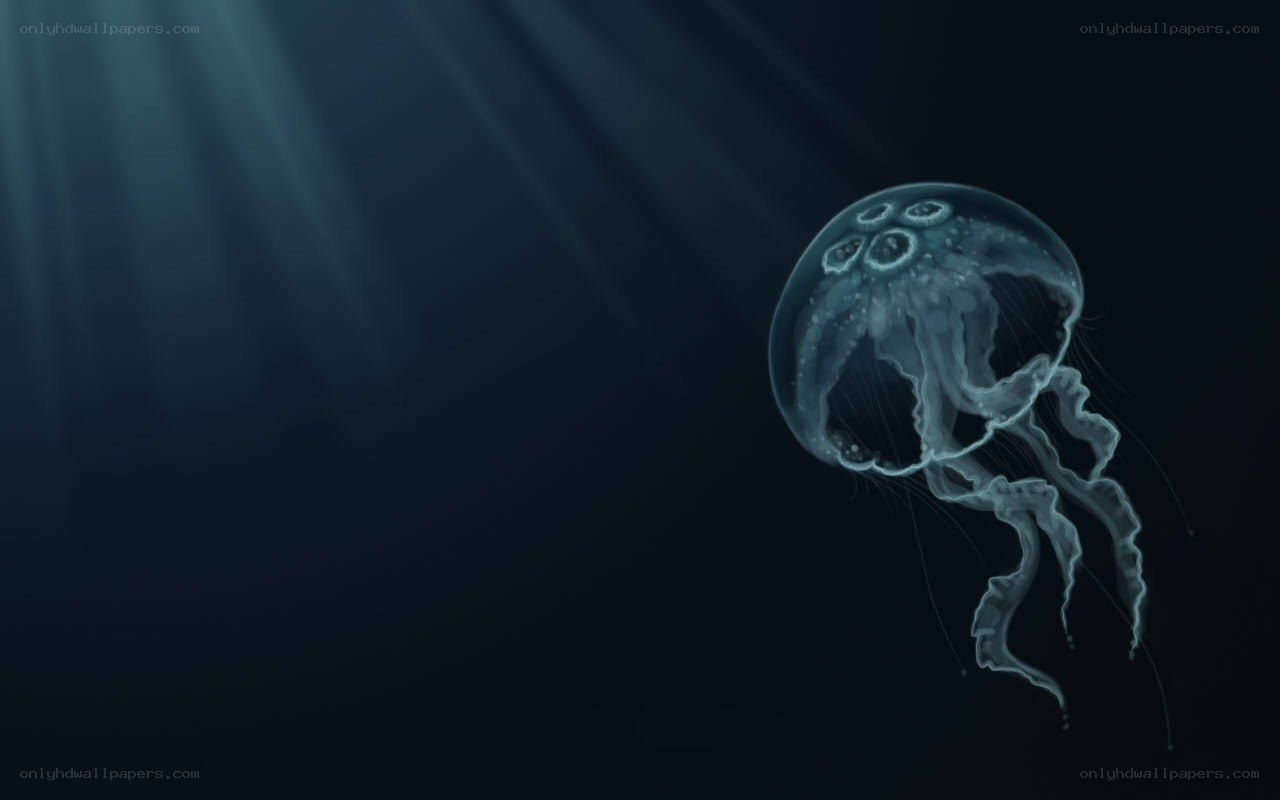 jellyfish in deep water