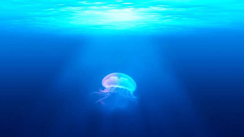 Jellyfish in Deep Water — Blue, Serene, Digital Art, Ocean