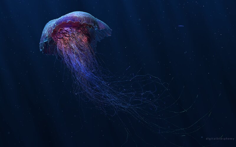 Jellyfish in Deep Water — Blue