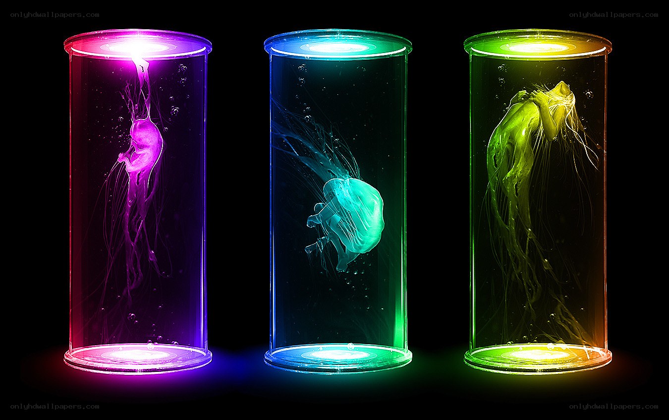 Jellyfish in illuminated tubes
