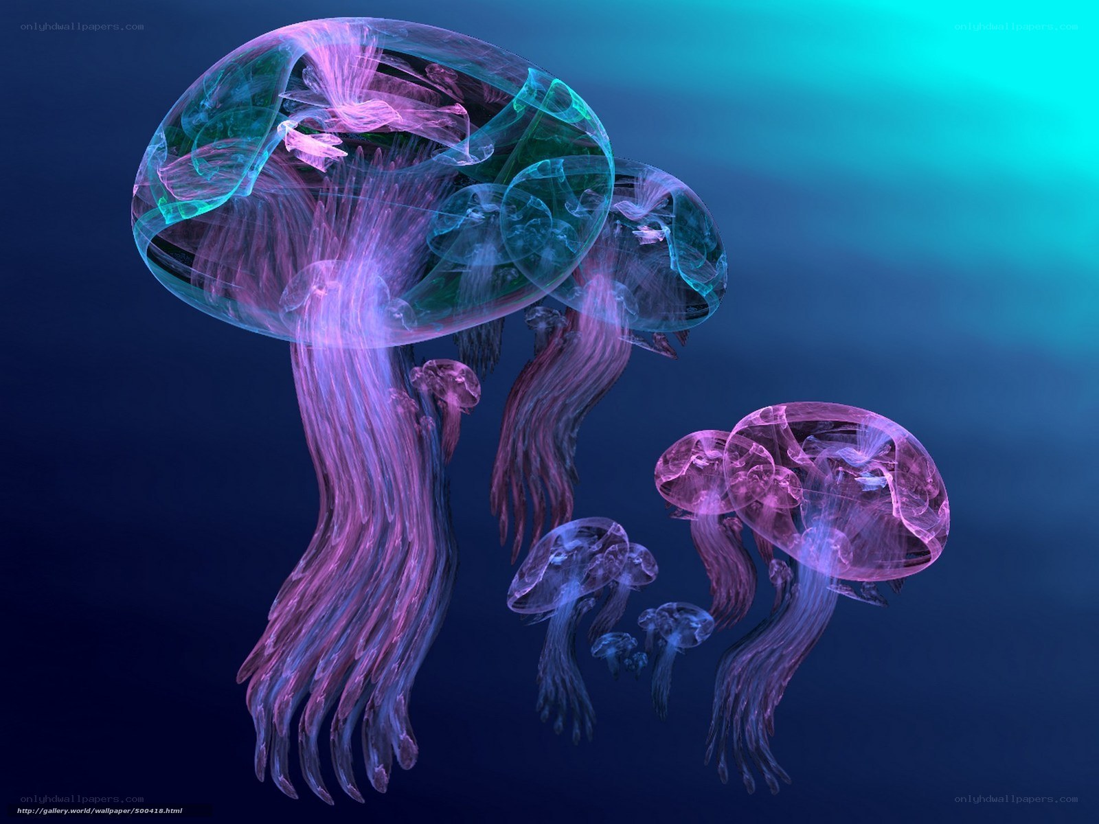 Jellyfish in neon light