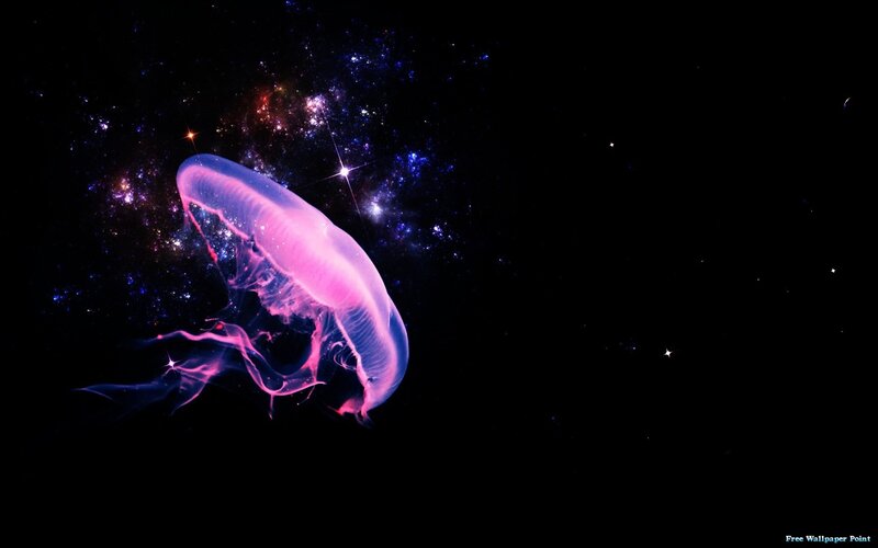 Jellyfish in Space — Purple