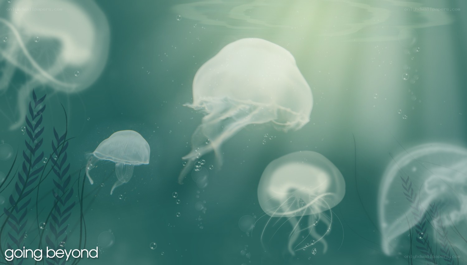 jellyfish in underwater scene