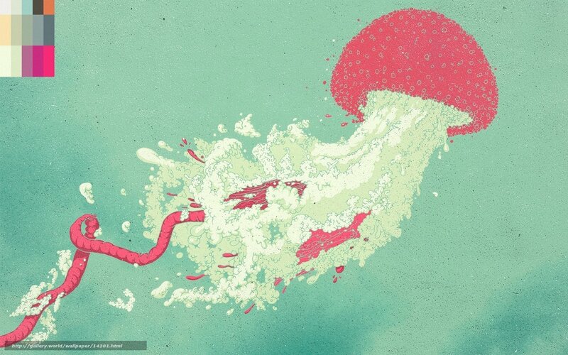 jellyfish in water