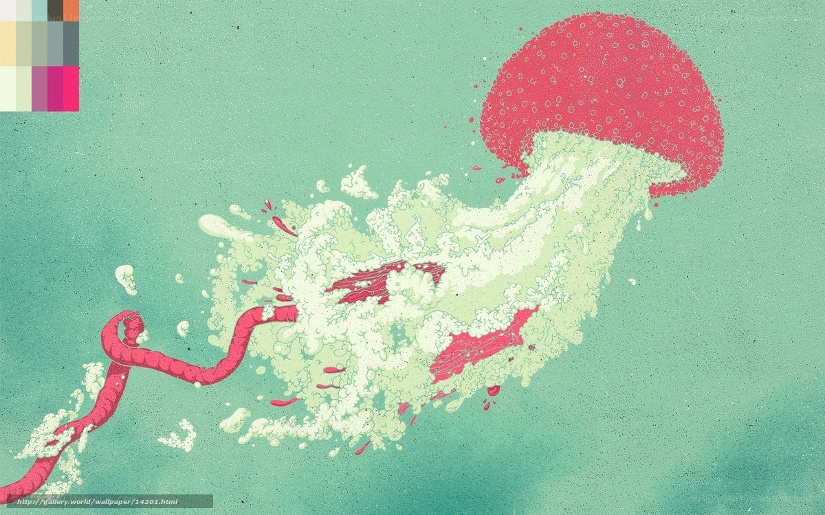 jellyfish in water