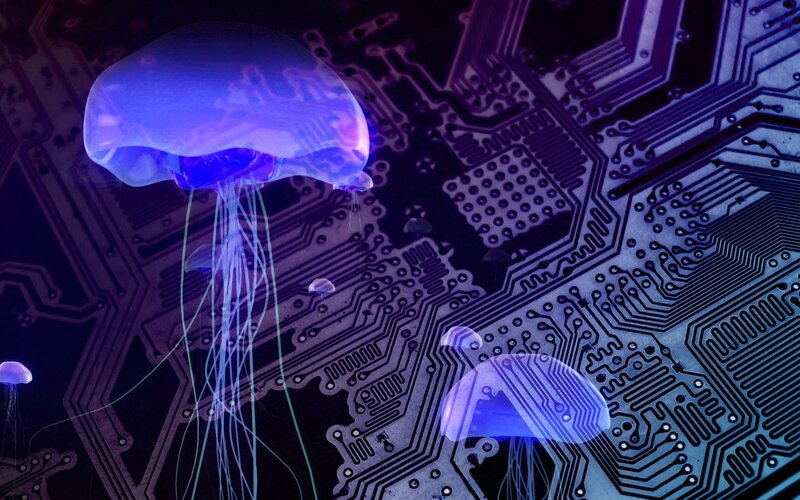 jellyfish over circuit board