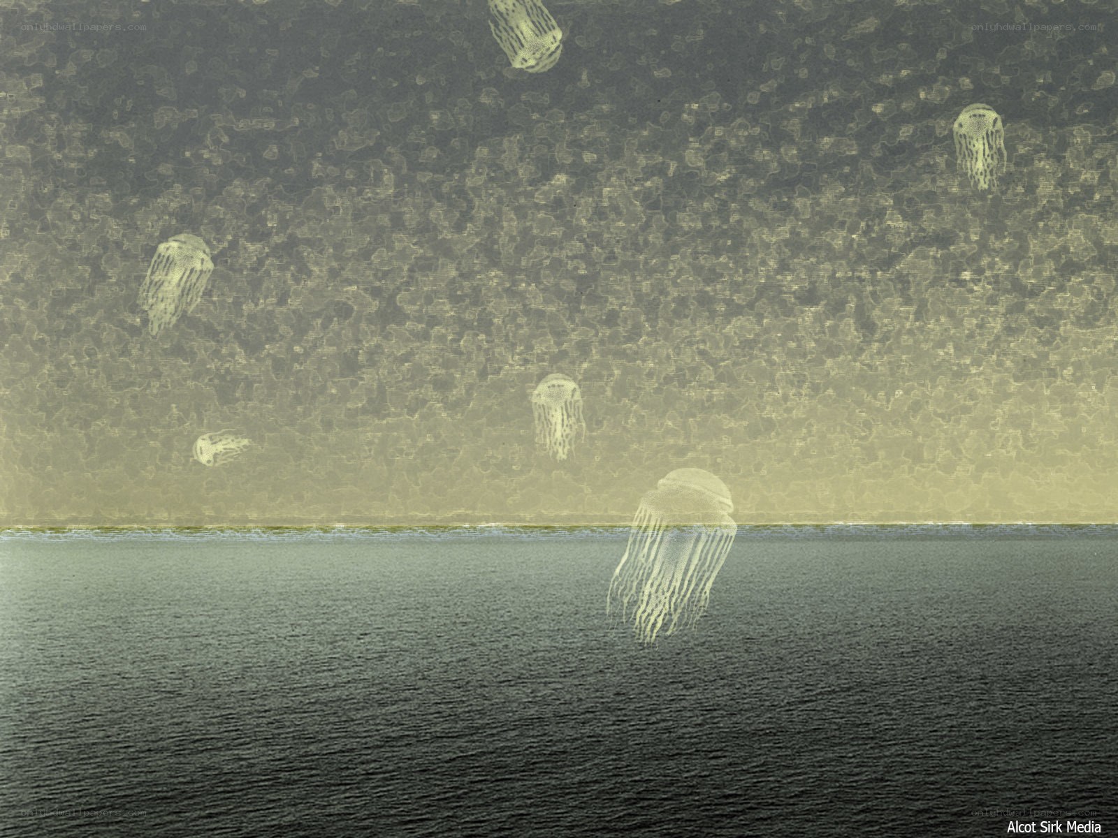 Jellyfish over the sea