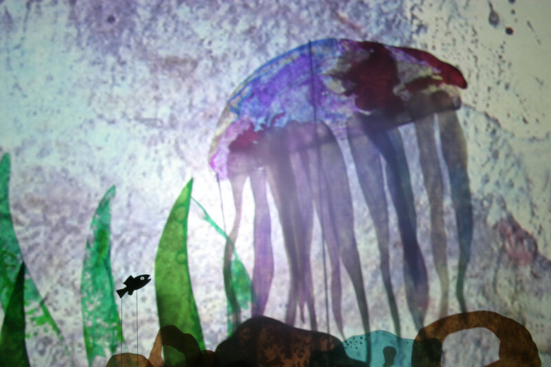 Jellyfish shadow puppetry