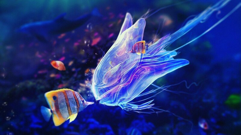 Jellyfish with Fish — Blue