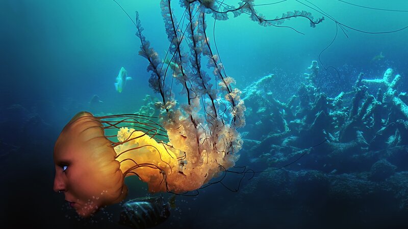 Jellyfish with Human Face — Blue
