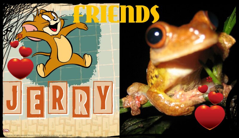 Jerry the Mouse — Brown, Playful, Night