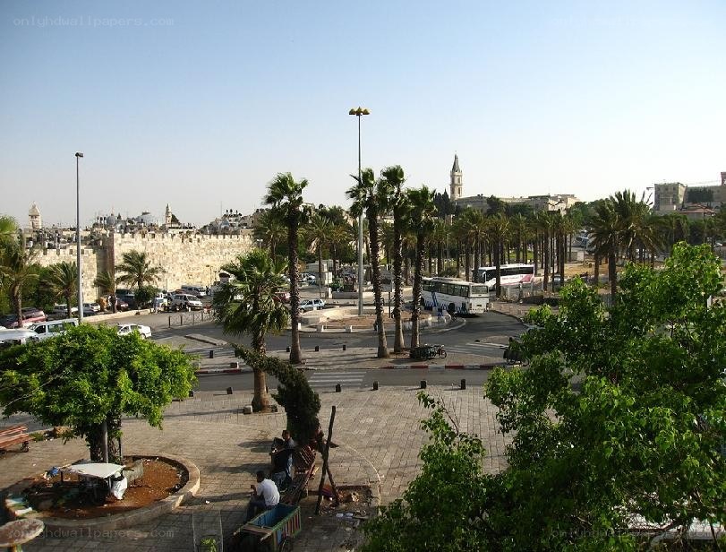 Jerusalem cityscape with palm trees