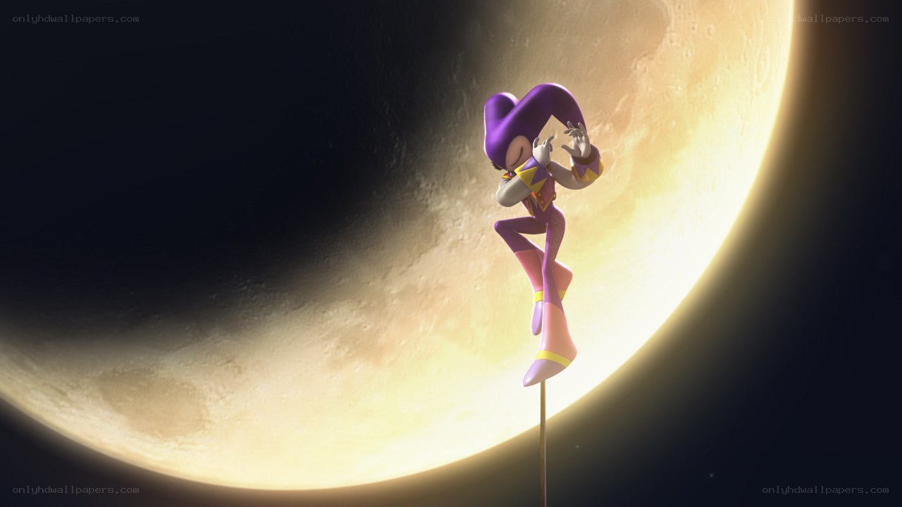 jester on a pole against the moon