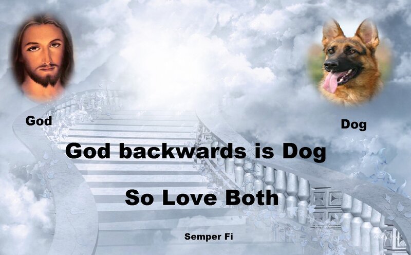 Jesus and Dog in Clouds