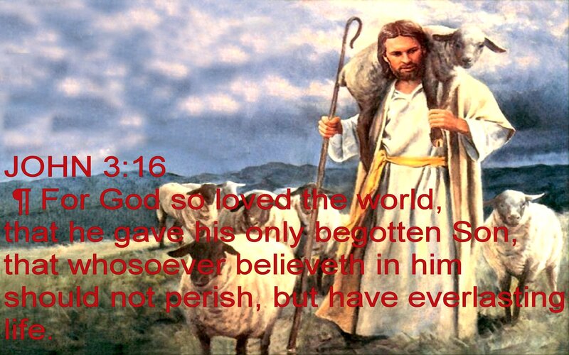 Jesus Carrying a Lamb — Blue, Serene, Painting, Shepherd's Staff