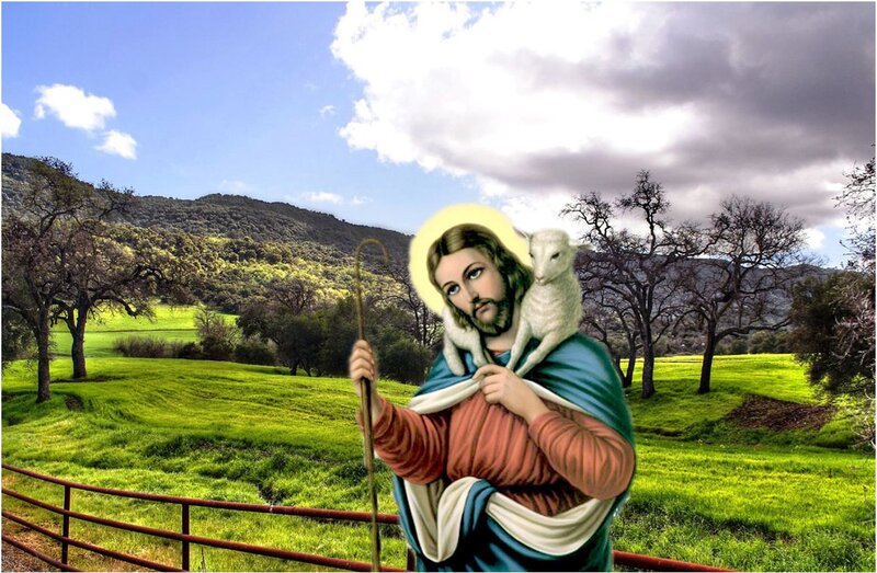 Jesus Carrying a Lamb — Green, Serene