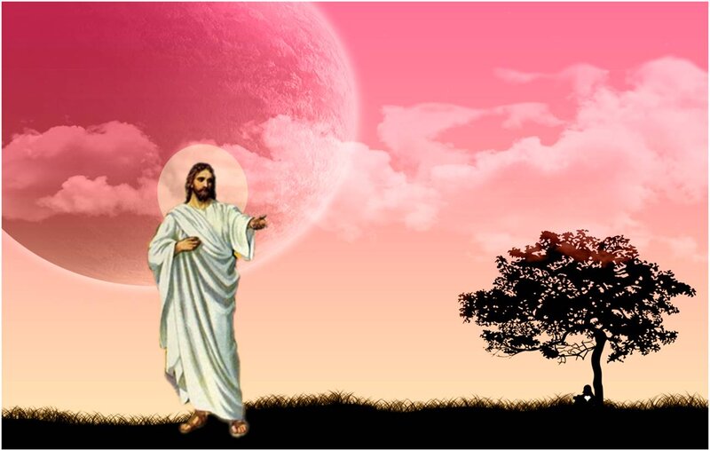 Jesus Christ Figure — Pink, Serene
