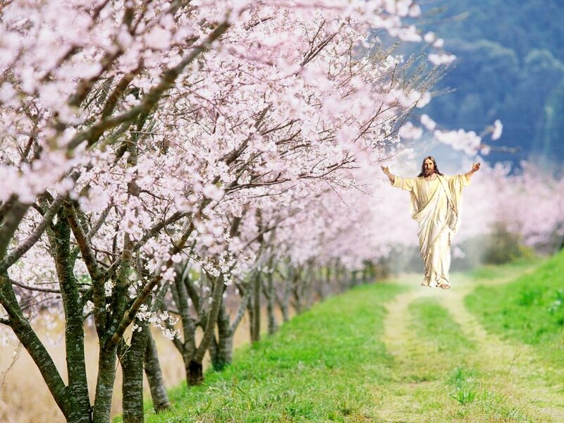 Jesus Christ in Field