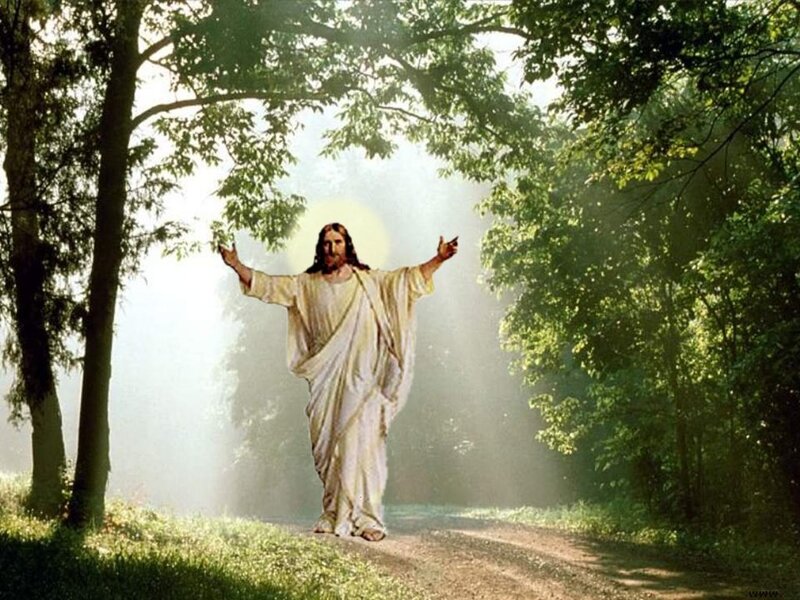 Jesus Christ in Forest