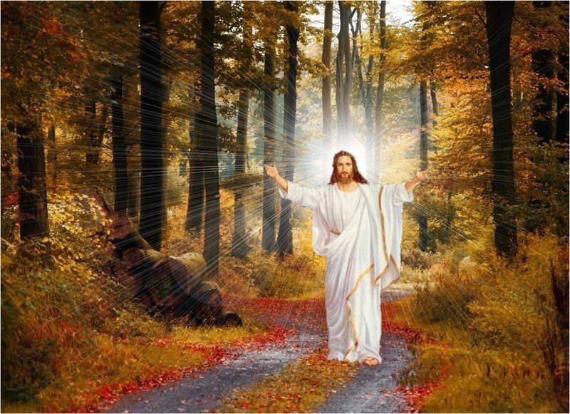 Jesus Christ in Forest — White