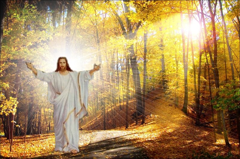 Jesus Christ in Forest — Yellow, Serene, Divine