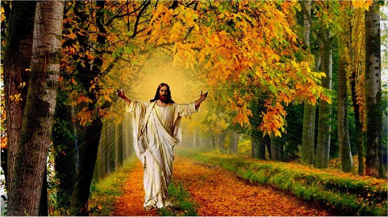 Jesus Christ in Forest — Yellow