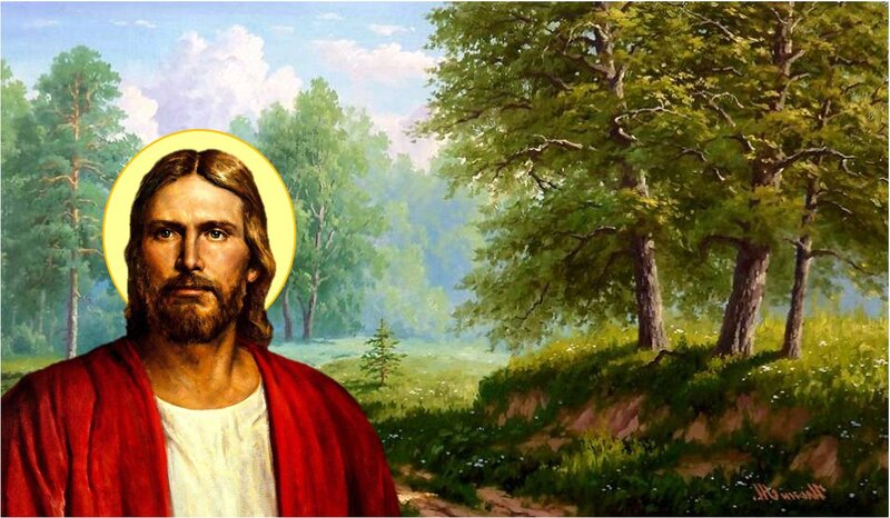 Jesus Christ Portrait — Red, Serene, Afternoon