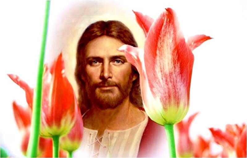 Jesus Christ Portrait — Red, Serene